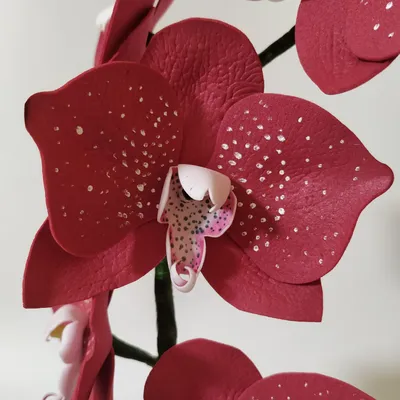 Искусственная латексная орхидея VIP в сером керамическом кашпо на одну  ветку бордовая (ID#1809831752), цена: 978 ₴, купить на Prom.ua