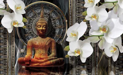 Орхидея Бронзовый Будда – описание, фото, уход, похожие сорта