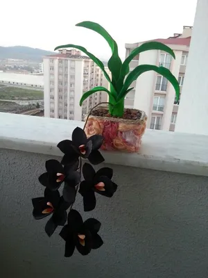 Орхидея \"Черная жемчужина\" из фоамирана
