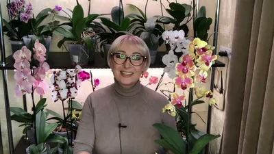 Загадочная интрига достойна... - Орхидеи продажа Цветочек | Facebook