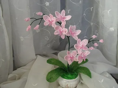 Орхидея из бисера мастер класс с пошаговым фото фотографии