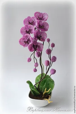 Орхидея - Цветы из бисера - Схемы, мастер-классы - Бисерун