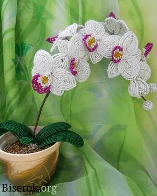 Магия Бисера - Голубая орхидея «Мечта». Мастер класс с пошаговым фото.  Автор: Светлана Герасимова #цветы@magiya_bisera Орхидея – королева цветов.  Живые орхидеи необычайно красивы, но требуют тщательного ухода. Я предлагаю  сделать орхидею из