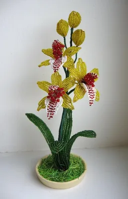 Орхидея из бисера (110 фото): мастер-класс с пошаговым описанием, схемами  плетения орхидеи + советы и инструкции