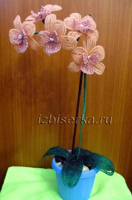 Орхидея из бисера: пошаговый мастер-класс с фото | Цветы из бисера, Бисер,  Орхидея