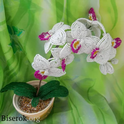 Орхидея из бисера: лучший мастер класс | Орхидея, Бисер, Розовые лепестки