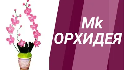 Замысловатые орхидеи. (Несколько схем). Обсуждение на LiveInternet -  Российский Сервис Онлайн-Дневников