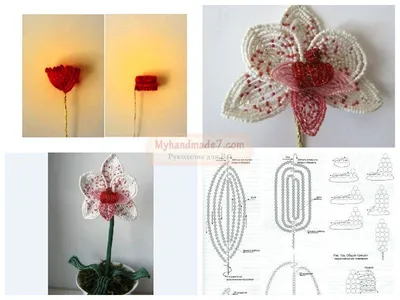 Орхидея из бисера: лучший мастер класс | Орхидея, Бисер, Бисероплетение