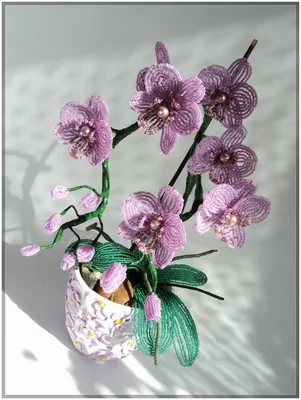 Орхидея из бисера (89 фото): пошаговые схемы сборки и описание создания  новых орхидей