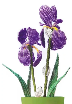 Орхидея — Бисерок стр. 1