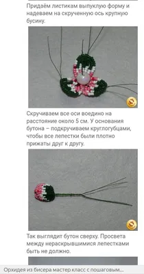 Орхидея из бисера: фото, схема плетения, пошаговая инструкция - Handskill.ru