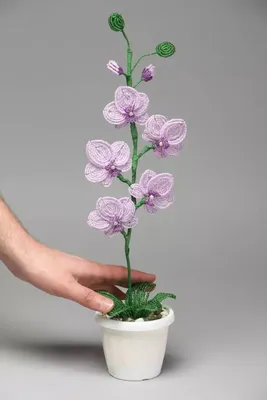 Орхидея из бисера: мастер-класс и инструкция