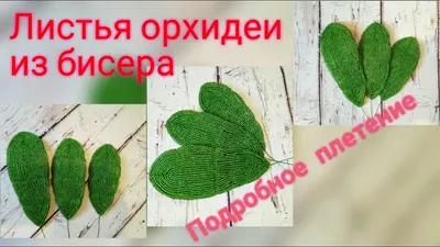 Орхидея Из Бисера Пошаговое Фото – Telegraph