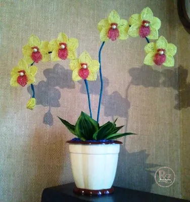 Орхидея из бисера схема плетения с пошаговым фото фотографии
