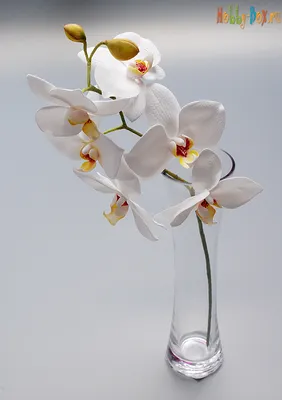 Орхидея из фоамирана фото фотографии