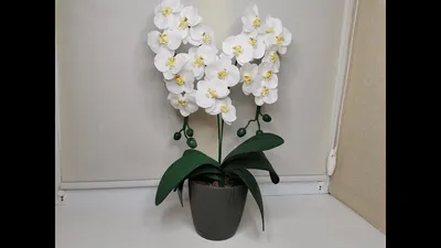 Орхидея своими руками / Орхидея из фоамирана / Пошаговый мастер-класс / DIY  /МК/Diy foamiran orchid - YouTube