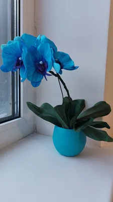 Молд круглый большой Лепестки Фаленопсиса ⋆ MakeFlowers: интернет-магазин  молдов, фоамирана и глины для создания цветов