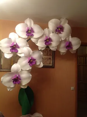 Орхидея из изолона фото