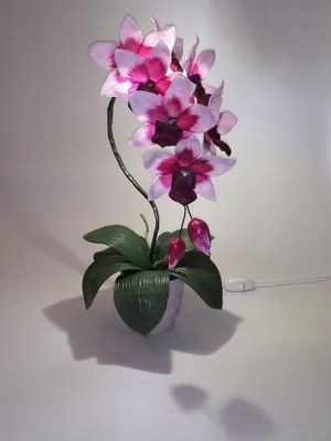 Архив Орхидея из изолона. Искусственная орхидея: 350 грн. - Искусственные  цветы и деревья Балаклея на BON.ua 97174599