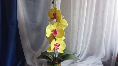 Орхидея ростовая из изолона №966868 - купить в Украине на Crafta.ua