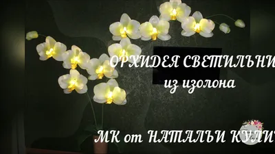 Светильник - орхидея — цена 750 грн в каталоге Ночники ✓ Купить товары для  дома и быта по доступной цене на Шафе | Украина #31568568