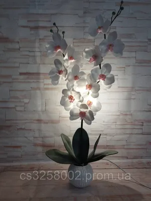 МК орхидея из изолона, панно. | Ольга Королева. МК цветы изолон. | Дзен