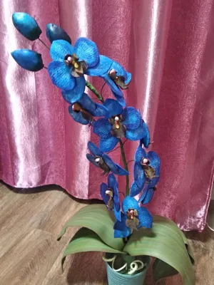 Орхидея из изолона - красивые фото