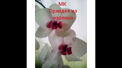 Светильник орхидея настенная / Сборка электрики для орхидеи / Орхидея  светильник от начала до конца - YouTube
