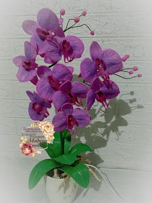 Светильник орхидея - из изолона!😍😍😍 Работает от сети💥 #ручнаяработа  #ростовыецветы #орхидея #орхидеясветильник #светильникизизолона #л… |  Instagram