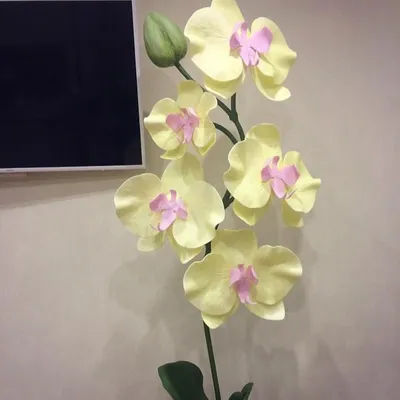 Надежда Коваленко - Орхидея-светильник. Высота 180 см. Сделана из изолона.  | Facebook