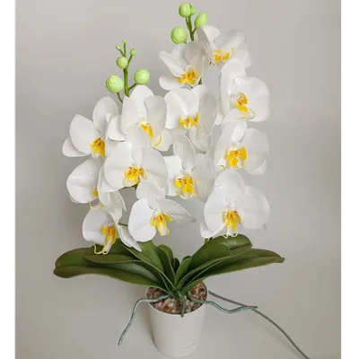 Светильник Цветы LED Inspiration с розовыми орхидеями и сине-зелёной  подсветкой вазы ❀ Купить в интернет магазине Коана с доставкой по России