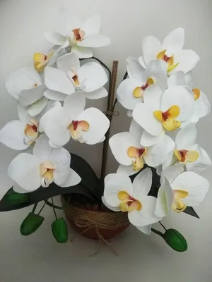 Орхидея из изолона ❀. Учимся вместе) - YouTube