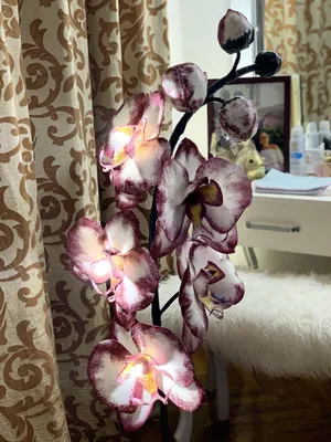 Орхидея из изолона. — цена 350 грн в каталоге Искусственные цветы ✓ Купить  товары для дома и быта по доступной цене на Шафе | Украина #63498222