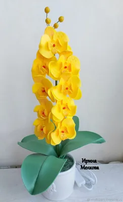 Большие ростовые цветы-орхидея в интернет-магазине Ярмарка Мастеров по цене  12000 ₽ – IMOQ5RU | Цветы, Москва - доставка по России