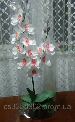 Орхидея светильник из изолона | Гигантские цветы, Орхидея, Цветы