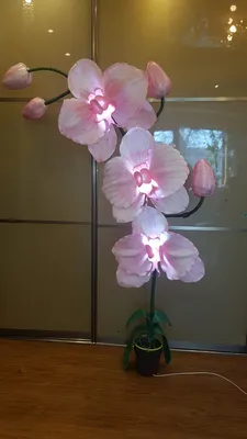 Архив Орхидея из изолона.: 350 грн. - Искусственные цветы и деревья  Балаклея на BON.ua 97174602