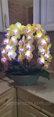 Ростовая орхидея из изолона | Arte en alambre, Arte