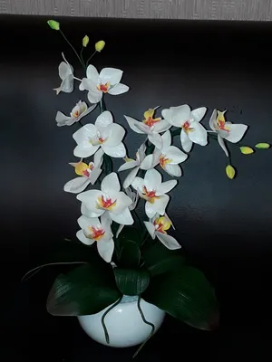 Орхидея своими руками / Орхидея из фоамирана / Пошаговый мастер-класс / DIY  /МК/Diy foamiran orchid - YouTube