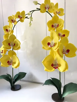 Светильник -орхидея: продажа, цена в Запорожской области. Искусственные  цветы и ветки от \"ПП Забава М\" - 1671431071