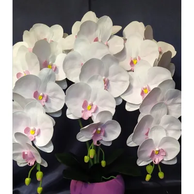 Орхидея изолон | Decoración de flores de papel, Manualidades, Flores  artesanales