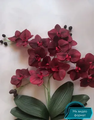 Головка орхидеи искуственная из изолона (ID#1442005060), цена: 25 ₴, купить  на Prom.ua