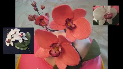 Орхидея из мастики фото фотографии