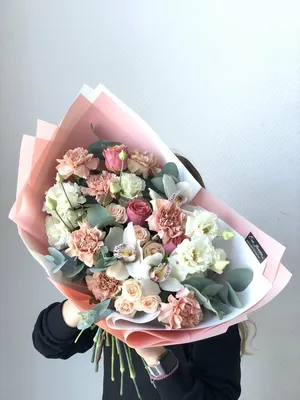 Подросток орхидеи Капучино / Phal.Capuccino размер 2,5 (ID#1255801609),  цена: 340 ₴, купить на Prom.ua