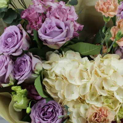 Орхидея микс в корзинке 🌺 купить в Киеве с доставкой - цена от Камелия