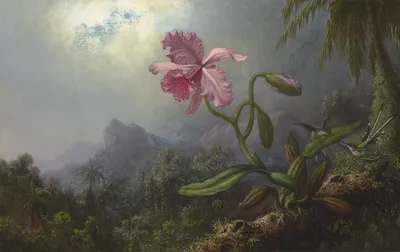 Колибри и орхидея» — создано в Шедевруме