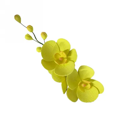 Орхидея Энни лимонная Latex - купить в Москве | Интернет-магазин  искусственных растений Zeltta
