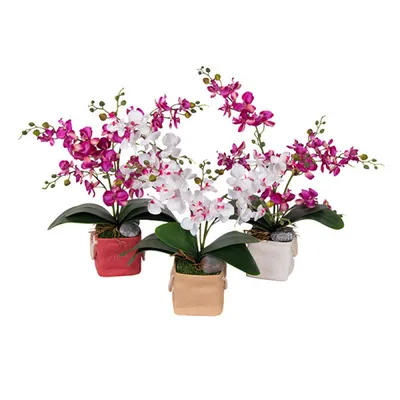 SunMade, высококачественные орхидеи, 2 вилки, весенняя мелодия, орхидеи с  зелеными листьями, шелковые искусственные цветы, крошечные цветы, украшение  для дома и сада, «сделай сам», белые орхидеи, украшения комнаты | AliExpress