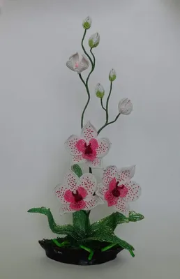 Как пересадить орхидею в домашних условиях: пошаговая инструкция (видео) |  Орхидеи, Эпифиты, Растения