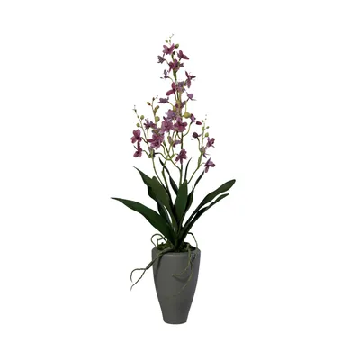 Оранжевая орхидея Oncidium стоковое изображение. изображение насчитывающей  орнаментально - 82189951