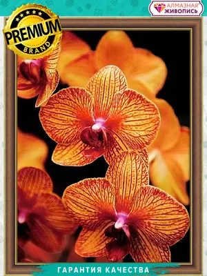 Алмазная мозаика \"Оранжевые орхидеи\" 30х40 см - купить с доставкой по  выгодным ценам в интернет-магазине OZON (219411812)